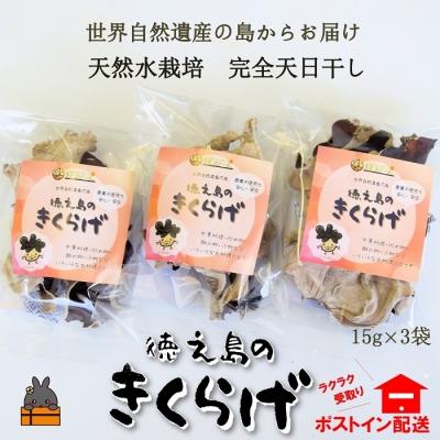 ふるさと納税 徳之島町 天然水使用・完全天日干し徳之島産きくらげ(3袋)[ポストイン配送]