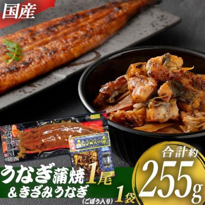 ふるさと納税 薩摩川内市 国産うなぎ蒲焼1尾+国産きざみうなぎ ごぼう入り(タレ付き)1袋セット AS-143
