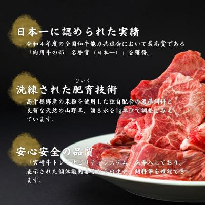 ふるさと納税 高千穂町 宮崎県産黒毛和牛A4等級以上 高千穂牛すね肉800g |  | 01
