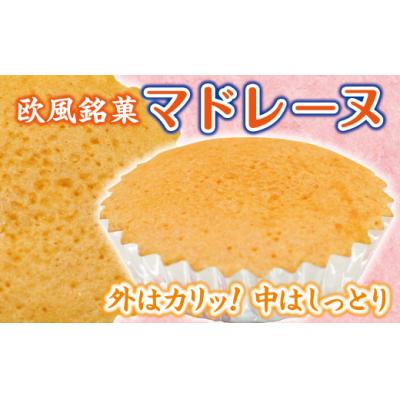 ふるさと納税 普代村 [年内発送] [外はカリッ!中はしっとり]マドレーヌ 10個入り 年内お届け 年内配送