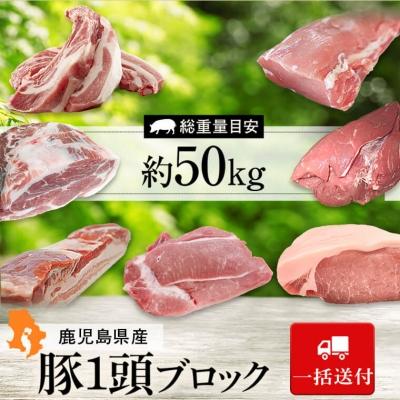ふるさと納税 肝付町 鹿児島県産豚1頭ブロックセット(6箱一括送付)