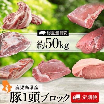 ふるさと納税 肝付町 鹿児島県産豚1頭ブロックセット(6回送付定期便)