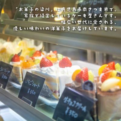 ふるさと納税 南さつま市 鹿児島県産 かぼちゃプリン 85g×8個 お菓子の染川 洋菓子 パンプキン スイーツ 南さつま市 |  | 03