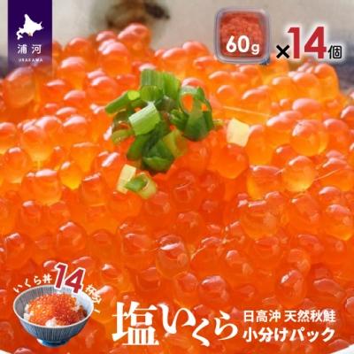 ふるさと納税 浦河町 [時鮭スモークサーモン付]北海道日高産 塩いくら小分けパック(60g×14)[15-543]