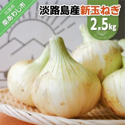 ふるさと納税 南あわじ市 淡路島スイートオニオン 淡路島産新玉ねぎ 2.5kg
