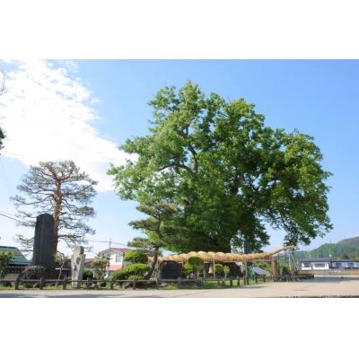 ふるさと納税 東根市 返礼品なしの寄付(1,000円)