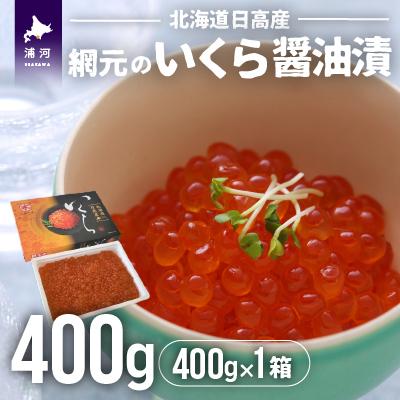 ふるさと納税 浦河町 [めしの素(秋鮭)付]網元のいくら醤油漬(400gx1箱)[01-015]