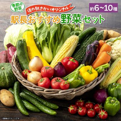 ふるさと納税 境町 季節の野菜 「道の駅さかいオリジナル」駅おすすめ野菜セット