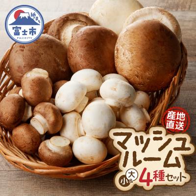 ふるさと納税 富士市 栽培期間中、無農薬・無漂白栽培 長谷川農産の美味しいマッシュルームセット 産地直送(1039)