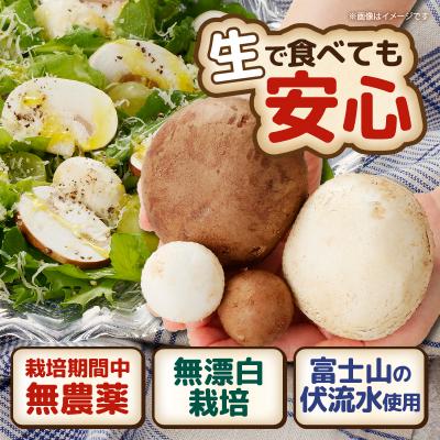 ふるさと納税 富士市 無農薬・無漂白栽培 長谷川農産の美味しいマッシュルームセット 産地直送 |  | 01