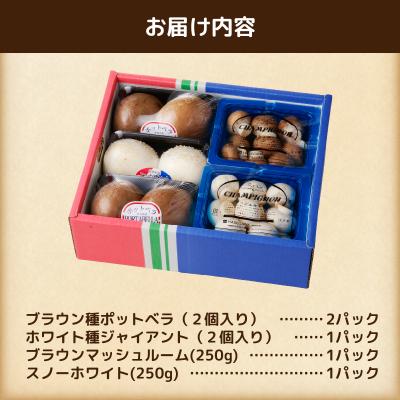 ふるさと納税 富士市 無農薬・無漂白栽培 長谷川農産の美味しいマッシュルームセット 産地直送 |  | 02
