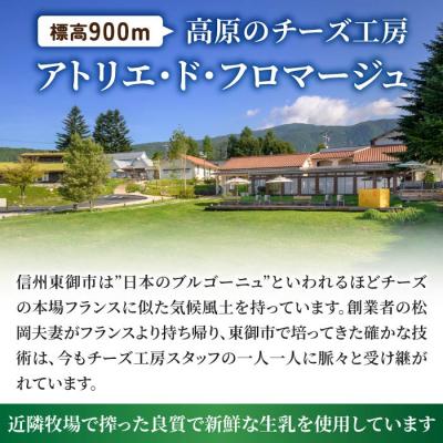 ふるさと納税 東御市 新・バラエティセット (チーズ ピザ ヨーグルト チーズケーキ) 詰め合わせ |  | 03