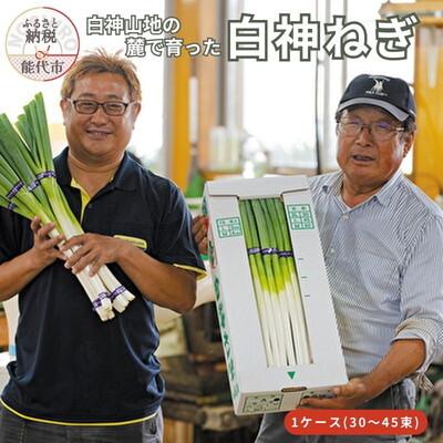 ふるさと納税 能代市 [8月〜翌2月限定出荷]白神山地の麓で育った 白神ねぎ 産地直送