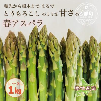ふるさと納税 乙部町 <北海道産 春採れグリーンアスパラ 1kg>