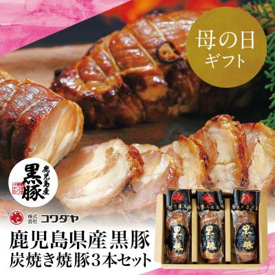 ふるさと納税 南さつま市 [母の日ギフト][鹿児島県産]黒豚の炭焼き焼豚3本セット 焼き豚 チャーシュー 黒豚 煮豚