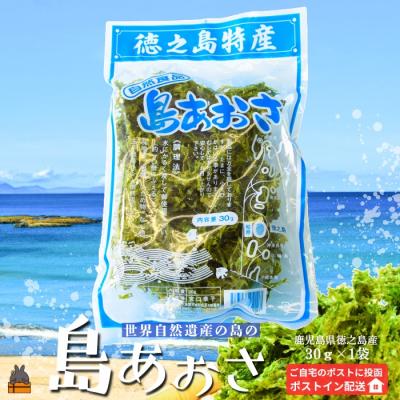 ふるさと納税 徳之島町 [2026年とれたて!]煌きの海からの恵み!島あおさ(1袋)[ポストイン配送]