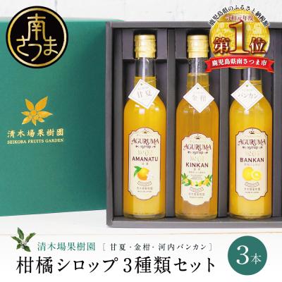 ふるさと納税 南さつま市 柑橘シロップ 3本セット<金柑・甘夏・河内バンカン>