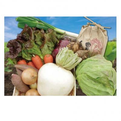 ふるさと納税 富士市 富士の新鮮な季節野菜セット(1035)