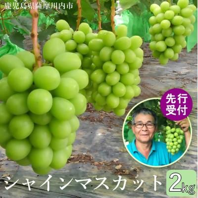 ふるさと納税 薩摩川内市 [2026年分先行受付][数量限定]シャインマスカット 2kg BS-714
