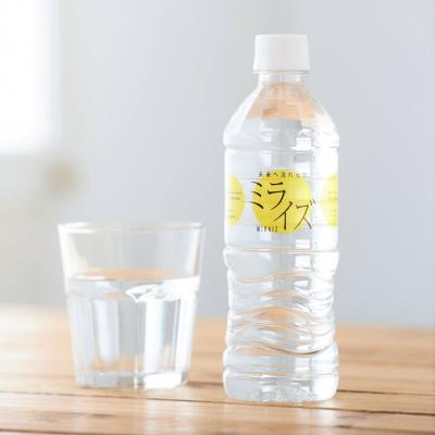 ふるさと納税 米子市 【定期便】　大山山麓天然水「ミライズ」500ml×48本×3ヶ月_1