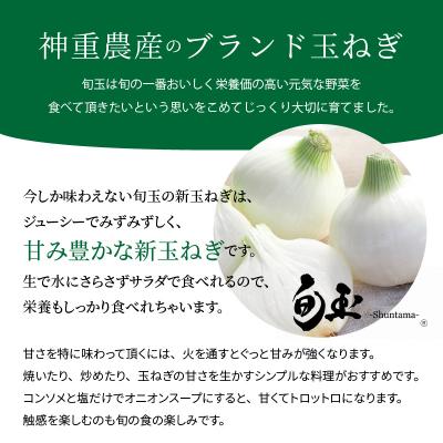 ふるさと納税 碧南市 ≪某TVで紹介≫ 新玉ねぎ 生がおいしい 神重農産の玉ねぎ「旬玉」10kg H105-177の画像