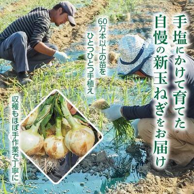 ふるさと納税 碧南市 ≪某TVで紹介≫ 新玉ねぎ 生がおいしい 神重農産の玉ねぎ「旬玉」10kg H105-177の画像
