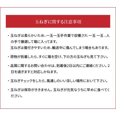 ふるさと納税 碧南市 ≪某TVで紹介≫ 新玉ねぎ 生がおいしい 神重農産の玉ねぎ「旬玉」10kg H105-177の画像