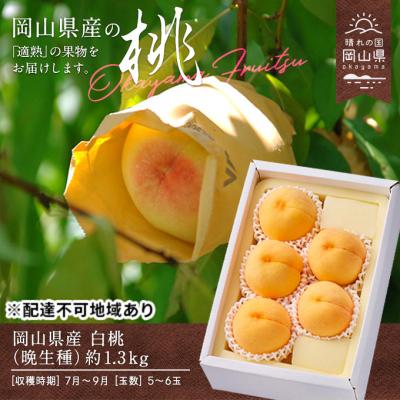 ふるさと納税 瀬戸内市 [2026年先行受付]白桃 晩生種 約1.3kg 5〜6玉 岡山県産 