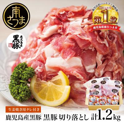ふるさと納税 南さつま市 鹿児島県産 黒豚切り落とし 計1.2kg(150g×8P)[生姜焼たれ付き]