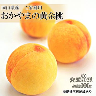 ふるさと納税 瀬戸内市 ご家庭用 おかやま の 黄金桃 大玉 3玉(合計約900g) 岡山県産