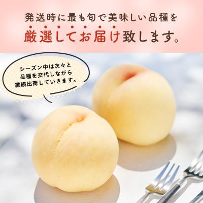 ふるさと納税 瀬戸内市 ご家庭用 おかやま の 桃 大玉 3玉(合計約900g)岡山県産 [No.5735-0686]の画像