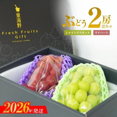ふるさと納税 福島市 ぶどう シャインマスカット&amp;マイハート2房詰め合わせ 化粧箱入[2026年12月発送]No.1142