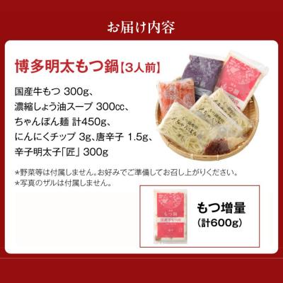ふるさと納税 宗像市 【もつ600g】博多明太もつ鍋(3人前)セット【海千】_HA0586