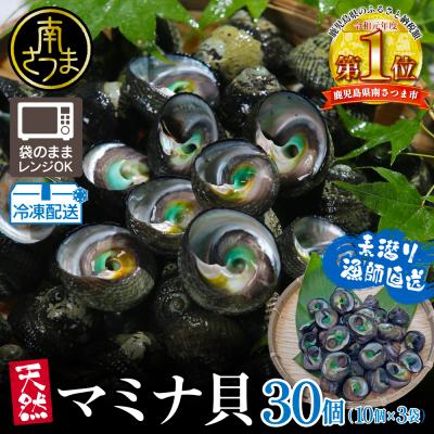 ふるさと納税 南さつま市 [素潜り漁師直送][袋に入った冷凍のままでレンジ対応][南さつま市 笠沙産 天然マミナ貝]