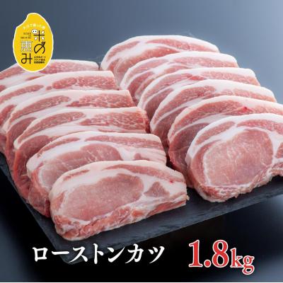 ふるさと納税 豊後高田市 [スピード発送] 豚肉 中川さんちの米の恵み豚ローストンカツ (150g×12枚) とんかつ ロース
