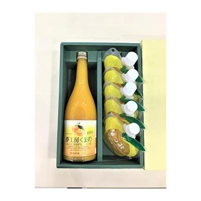 ふるさと納税 熊野市 みかんジュースと甘夏みかんゼリー「なつみ」の詰め合わせ♪レギュラージュース1本・なつみ5個