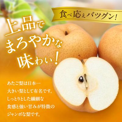 ふるさと納税 瀬戸内市 備前横綱梨(あたご梨) 2玉 (1玉1〜1.4kg)贈答箱 岡山県産 [No.5735-0953]の画像