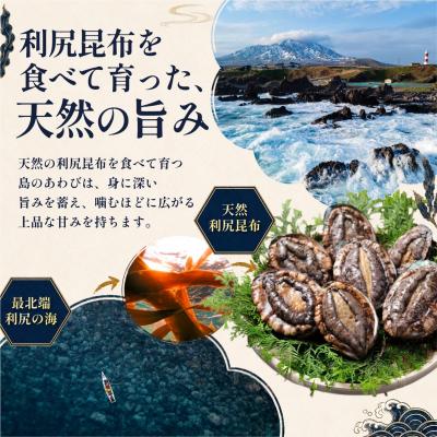 ふるさと納税 利尻町 利尻島産 天然蝦夷あわび500g(冷凍)[No5888-0579] |  | 01