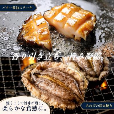 ふるさと納税 利尻町 利尻島産 天然蝦夷あわび500g(冷凍)[No5888-0579] |  | 03