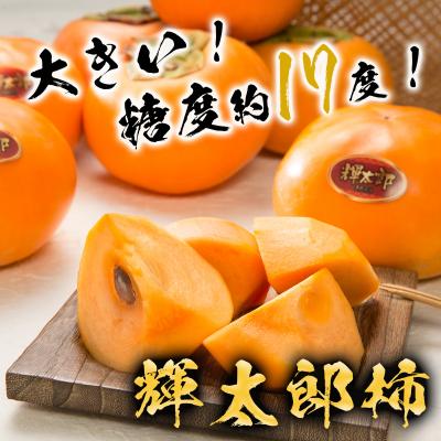 ふるさと納税 八頭町 鳥取県オリジナル品種「輝太郎柿」3kg