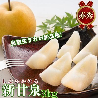 ふるさと納税 八頭町 [2026年発送分]新甘泉(赤秀) 3kg