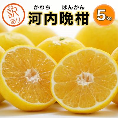 ふるさと納税 愛南町 [訳あり]みかん職人の河内晩柑5kg みかん 柑橘 河内晩柑 果物 みかん職人武田屋