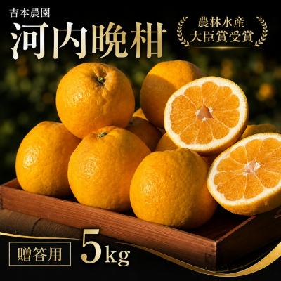 ふるさと納税 愛南町 [贈答用] 河内晩柑 (愛南ゴールド)5kg みかん 吉本農園 愛媛県 愛南町