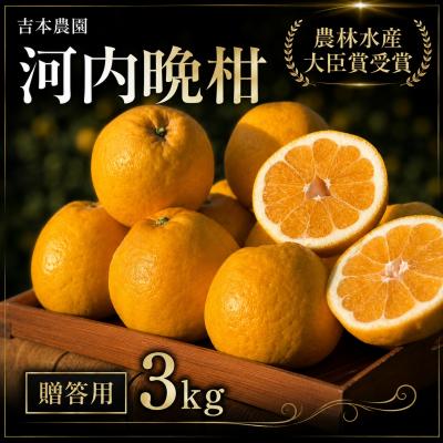ふるさと納税 愛南町 [贈答用] 河内晩柑 (愛南ゴールド)3kg 吉本農園 みかん 愛媛県 愛南町