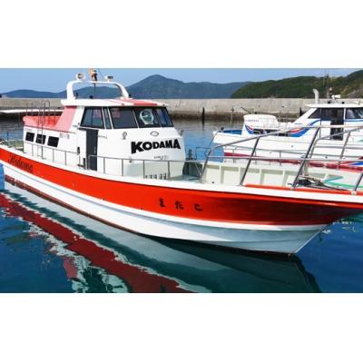 ふるさと納税 愛南町 [こだま渡船]乗船券