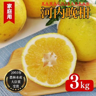 ふるさと納税 愛南町 [家庭用]河内晩柑 (愛南ゴールド)3kg 吉本農園 愛媛県 愛南町