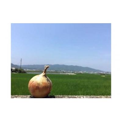 ふるさと納税 南あわじ市 淡路島の農家の嫁から「完熟玉ねぎ 中生晩生 5kg」