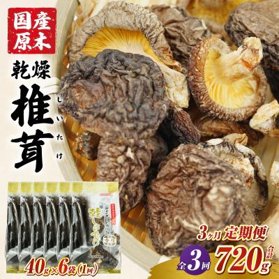 ふるさと納税 高千穂町 [3ヶ月定期便] 乾燥しいたけ 240g(40g×6袋)×3回 720g