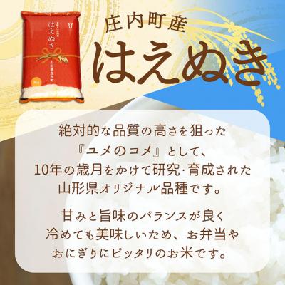 ふるさと納税 庄内町 庄内町産 はえぬき 20kg 5kg×4袋 令和7年産 2025年産 ブランド米の画像