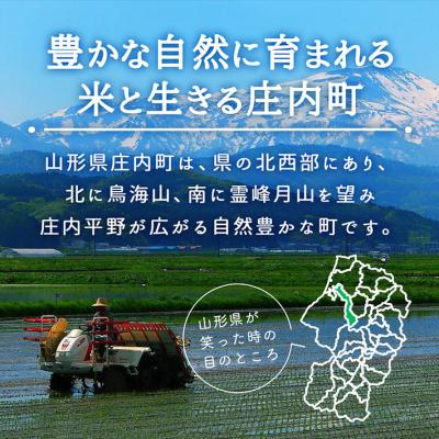 ふるさと納税 庄内町 庄内町産 はえぬき 20kg 5kg×4袋 令和7年産 2025年産 ブランド米の画像